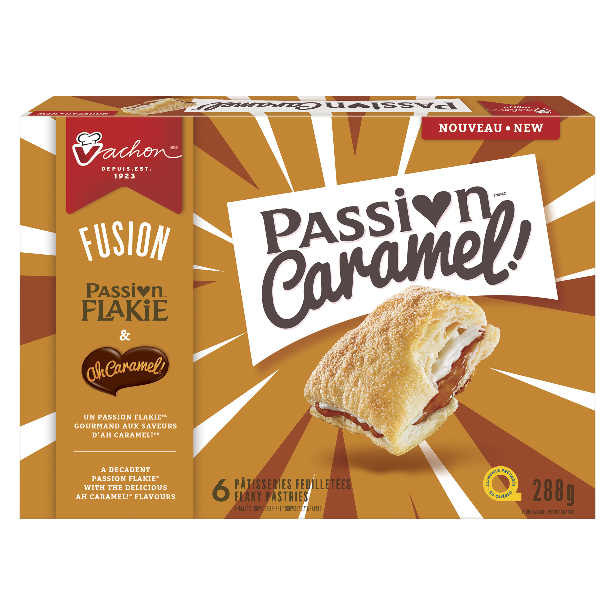 VACHON PASSION CARMEL/AH CARME